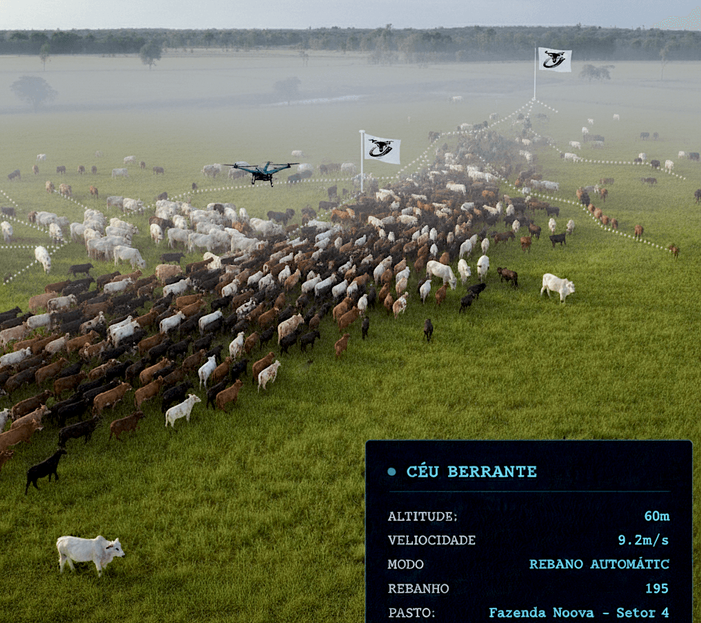 Drone conduzindo rebanho